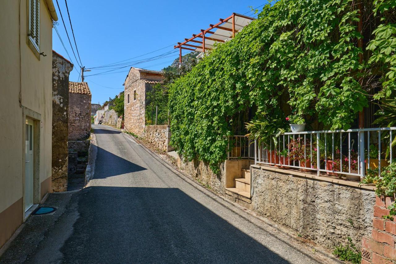 شقة Stone House Biskup Babino Polje المظهر الخارجي الصورة